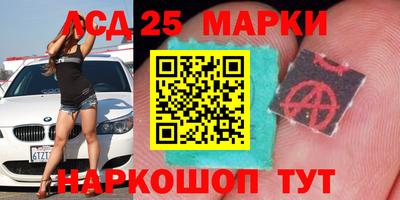 прущие грибы Нальчик
