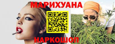 прущие грибы Нальчик