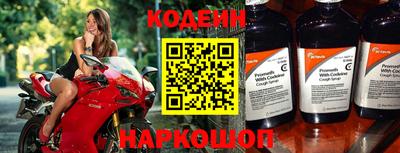 прущие грибы Нальчик
