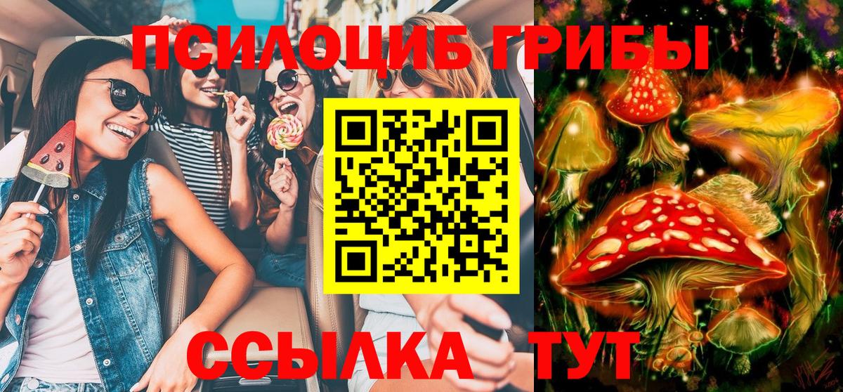 что такое   Вход с VPN  Советский  Галлюциногенные грибы GOLDEN TEACHER 
